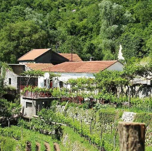 Country House Dajkovic