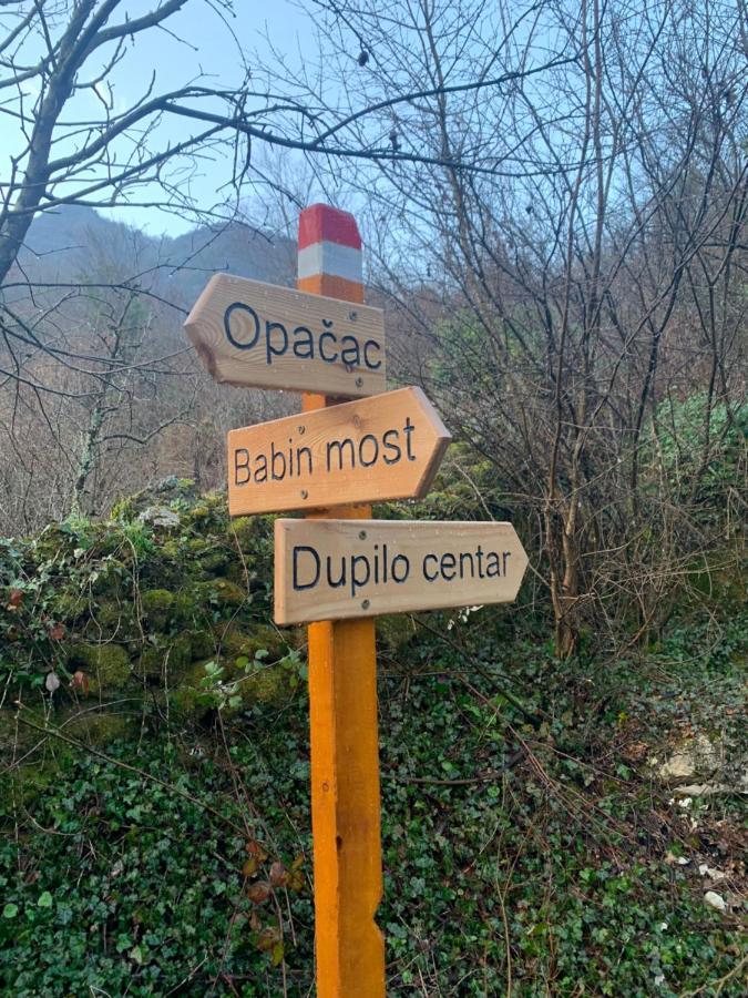 Dajkovic Dupilo